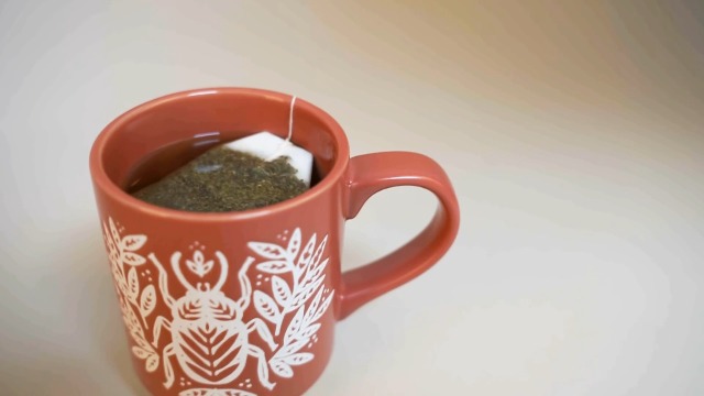 Amazon.com | Fringe Studio New York Stoneware Mug, Beetle, 12 Fl