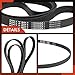 A-Premium Engine Serpentine Drive Belt Compatible with Ford, Hyundai, Kia, Dodge, Mercedes-Benz, Chrysler, Mazda, Lincoln, Mack, Mazda & Volkswagen Cars - F-150, Escape, Focus, Sonata & More