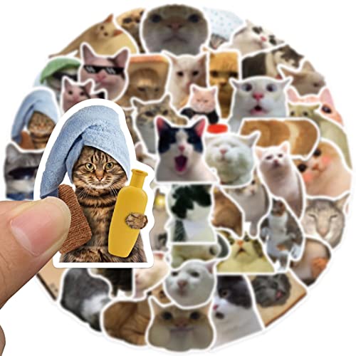 50Pcs Funny Cat Meme Stickers For Water Bottles, Cute Kitty Face Waterproof Vinyl Decals For Teens Kids Laptop Phone Skateboard Scrapbook Travel Case Bike Car Guitar #TOP4