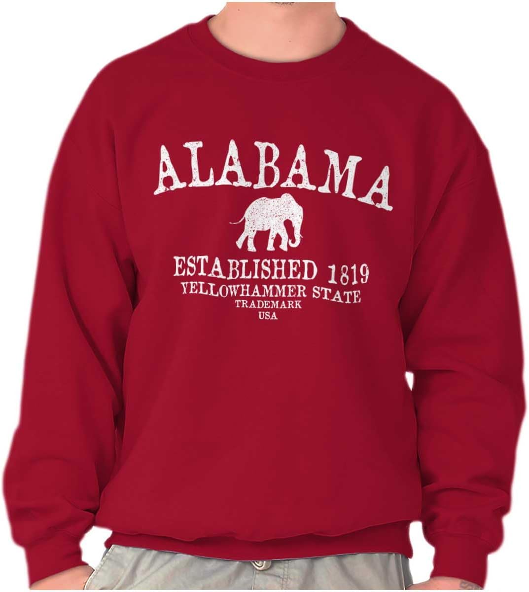 USA State Vintage Established Date Sweatshirt for Men or Women