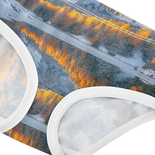 Girls Underwear Toddlers 2t Cotton Panties for Girl Fun Print Briefs Underpants Autumn Landscape Scenery Mountain4