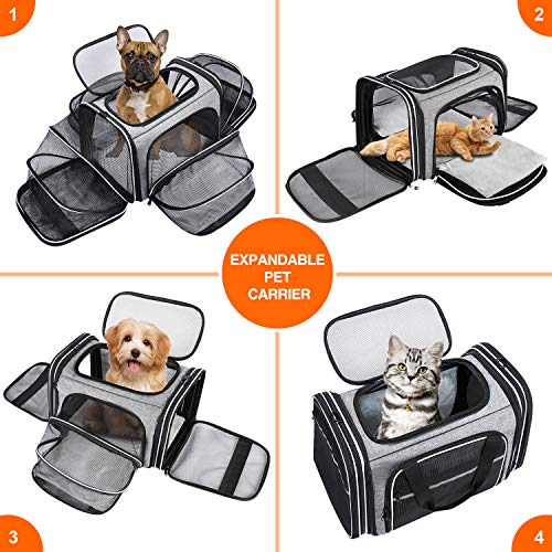 Maskeyon Tsa Airline Approved Soft Sided Pet Carrier Top Loading 4 Side Expandable Large Travel Cats Carrier Collapsible With 3 Removable Washable Pads And 3 Pockets For Cats Kitten And Small Dogs #TOP7