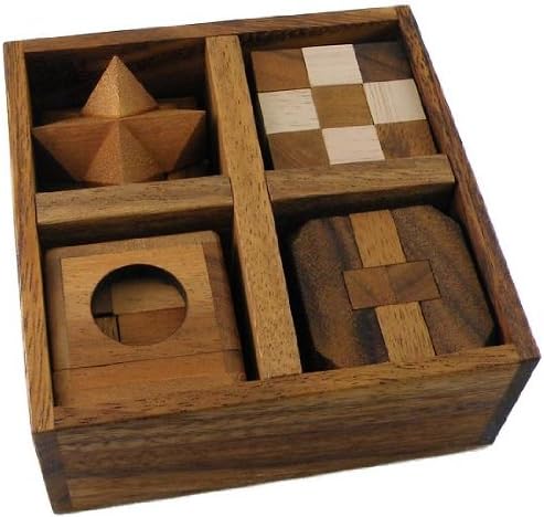 5 Wooden Puzzles Gift Set in A Wooden Box