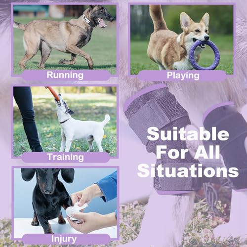 Image of Short Rear Leg Braces for Dogs, Dog Leg Brace for Joint Injury, Sprain Protection, Wound Healing and Loss of Stability from Arthritis, Dog Leg Sleeve with Flexible Straps for Post-Op, 1 Pair, Large