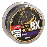 Jaxon Geflochtene Schnur Black Horse Catfish Wels Wallerschnur Braided Line 250m (0,09€/m) (0,55mm/Tragkraft 95kg)
