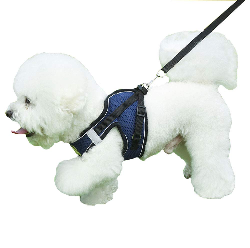 Bleu Harnais Chat Harnais pour Chat Laisse Reglable Harnais Securite Chat avec Laisse Gilet Réfléchissant Réglable Harnais Ultra-léger pour Chat Petit aux Chiots Chat XS
