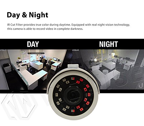 VIEWISE HD 1080P 2 Megapixel Eyeball Turret Dome Camera, Sony Sensor, Indoor/Outdoor Surveillance Security Camera 3.6mm Lens Day & Night Vision 4-in-1 HD-TVI, AHD, CVI, CVBS (Gray)