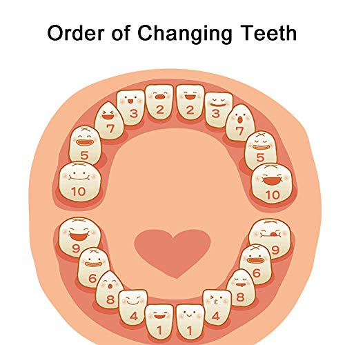 Baby Tand Save Box, Kids Tooth Keepsake Box, Houten Keepsake Organizer voor Baby Tanden, Leuke Kinderen Tandencontainer met Pincet en Lanugo Fles om het Childhood Memory door DesignerBox (Boy) te bewaren - Image 8