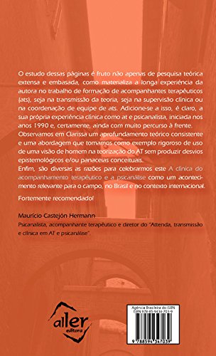 Clínica do acompanhamento terapêutico e psicanálise