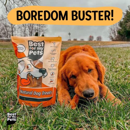 Best For My Pets Braided Bully Sticks For Dogs (12 Inch, 8 Pack) - Premium Long Lasting Dog Chew Treats To Keep Puppies And Dogs Happily Busy - Dog Dental Chews - Fully Digestible Rawhide-Free Treats #TOP6