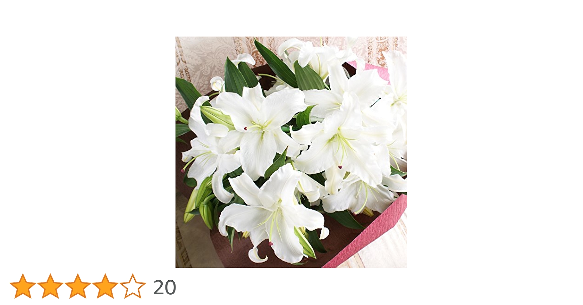 51zeRM37bdL.jpg_BO30,255,255,