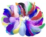 300Pcs Decor Feathers,Colorful Feathers for DIY Craft Wedding Home Party Decorations