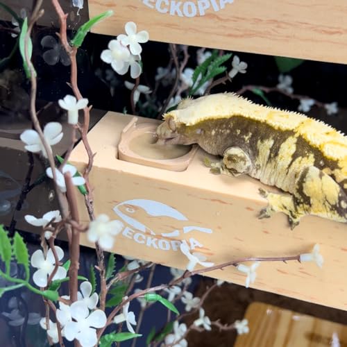 Image of GECKOPIA Reptile Flex Bridge Large (Plain Wood, 36 Inch Long)