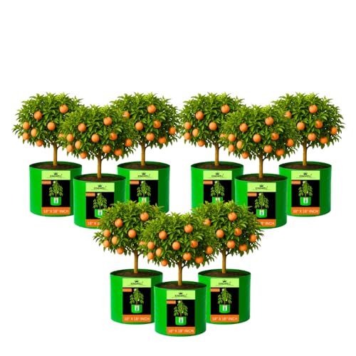 Image of Kingwell grow bags 18x18 inches pack of 9 Grow Bag For Terrace Garden Leafy Vegetable Plant Grow Bags Fruits Growing Containers For terrace Gardening