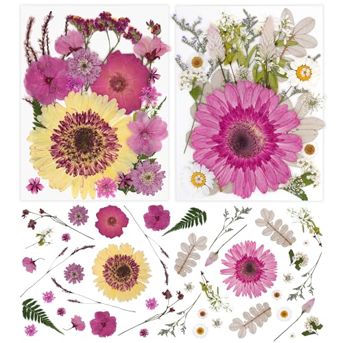 2 Packs de Flores Secas Prensadas para Manualidades miniatura 1
