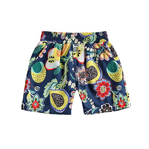 Toddler Baby Boys Summer Clothes One Piece Beach Shorts Playsuit Beach Swim Trunks Bathing Suit Clothes Infant (Navy Blue Fruit, 3-4 Years)