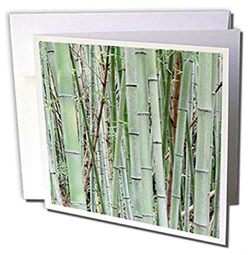 Danita Delimont ? A ? {AޗProvenceAheguri-choB̃N[YAbv|GroveB ? Greeting cards-12O[eBOJ[htiGC _ 206900 _ 2 )