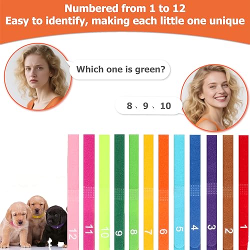 Image of Newborn Puppy Collar Set of 12 with Numbered Tags & Weight Tracker Chart, Soft Adjustable Kitten Collar, Puppy Collars for Litter, Whelping Supplies for Kitten Small Dogs (S /M /L) (L)