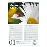 Geburtstagsplaner Geburtstagskalender Glück Marienkäfer DIN A3 Kalender - Seelenzauber