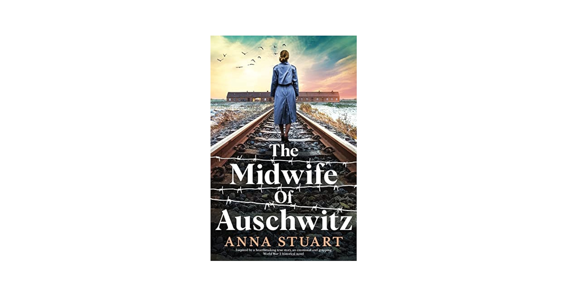 洋書 Nurses and Midwives in Nazi Germany Nurses and Midwives in Nazi Germany: The 
