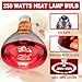 250 Watts Heat Lamp Bulbs, R40 Brooder Heat Lamp Bulbs for Chickens, Infrared Reflector Heat Bulbs for Brooder Heater, Incandescent Heating bulb for Chicks, Pet, Light Therapy, Bathroom, Food (1 Pack)