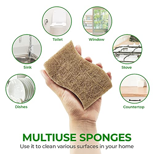 Airnex Biodegradable Natural Kitchen Sponge - Compostable Cellulose And Coconut Walnut Scrubber Sponge - Pack Of 12 Eco Friendly Sponges For Dishes #TOP5