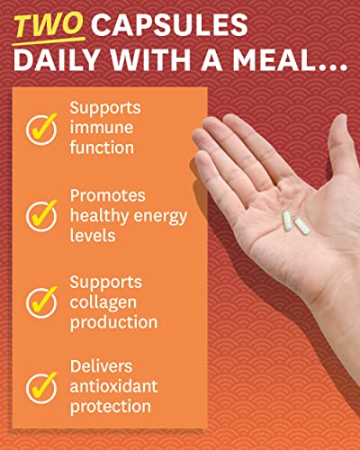 Zenwise Health Liposomal Vitamin C Supplement, 1500 MG Enhanced Absorption Organic Vitamin C Liposomal for Antioxidant, Immune, Natural Energy Boost, and Skin Care Support - 60 CT