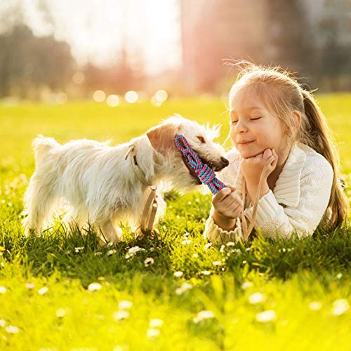 Set de 10 juguetes mordibles para perros pequeños PLAYJOY miniatura 7