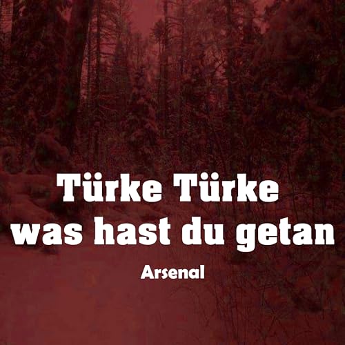 Türke Türke was hast du getan Song von Arsenal aus dem Album Türke Türke was hast du getan auf