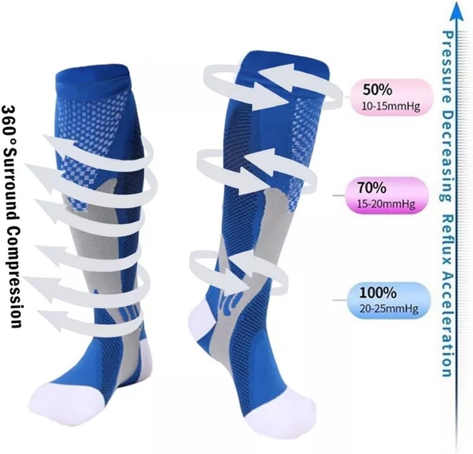 不詳/作者不詳/鯛図/横物/桐共箱付/布袋屋掛軸HJ-91