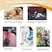 Dog Halter Harnesses, Adjustable Lift Hanress For Large Dogs, Dog Sling For Medium Dogs Hind Leg Support To Help Rehabilitate, Soft Padded Dog Support Harness For Elderly, Injured, Arthritic(Medium)