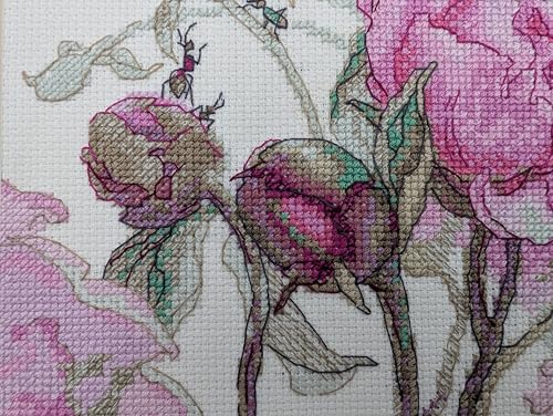 Image of Aine - Peonies. Delight A1009, Cross Stitch Kits 7 inchx6 inch, Cross Stitch Kits for Beginners & Advanced, Crossstitching Kits Adult, Counted Cross Stitch Kits for Adults, Flowers Embroidery Kit