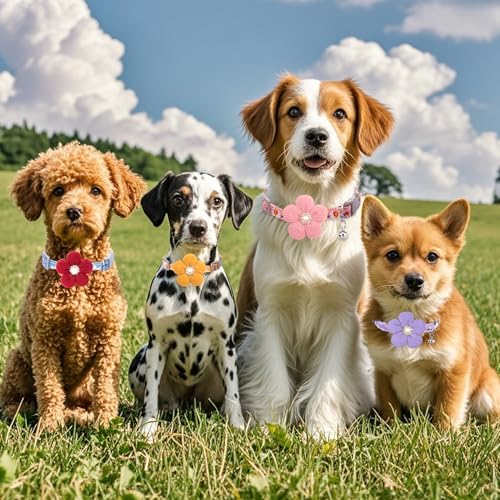 Small Dog Collar with Flower, Cute Dog Collars for Small Dogs with Bell - image 7