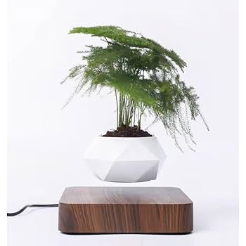 Amazon.co.jp: FGY 宙に浮く盆栽 プランター 観葉植物 磁気浮上