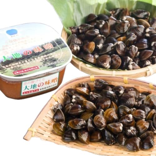 冷凍しじみと大地の味噌の詰合せ(網走湖産) 北海道 網走市