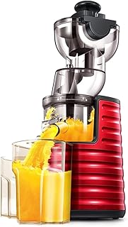 HIZQ Blender Presse-Agrumes À Extraction Lente, Presse-Fruits À Jus D'orange Entièrement Automatique Lent Mélangeur De Smoothie Électrique Agitation Du Lait De Soja