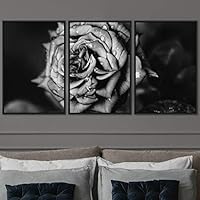 3 Piece Framed Canvas Wall Art Black and White Botanical Canvas Prints Home Artwork Decoration for Living Room,Bedroom - 16