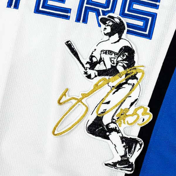 北海道日本ハムファイターズ 水谷瞬 直筆サイン キャンバスアート 北海道日本ハムファイターズ 水谷瞬 直筆サイン キャンバス