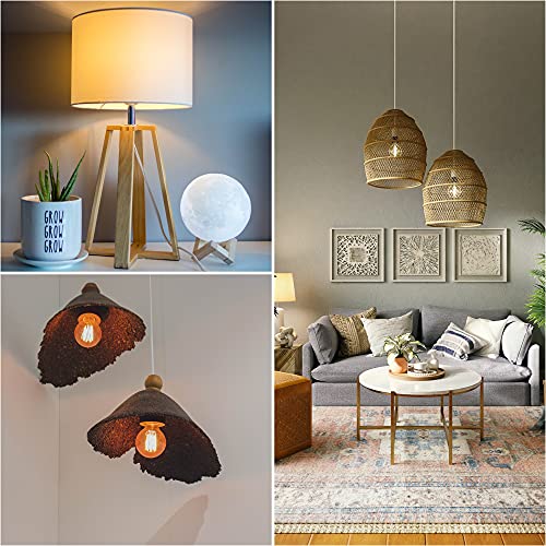 Dicuno Hanging Lantern Extension Cord Cable, E26/E27 Pendant Light Socket On Off Inline Cord Switch Control Lamp, Switch Close To Polarized Plug, 13 Feet, White, 1-Pack #TOP4