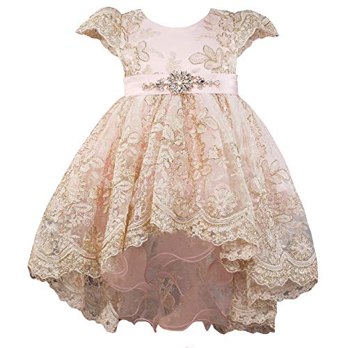 Baby Girls Formal Dress Tulle Flower Capped Sleeves Baptism Special