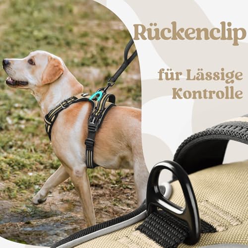 rabbitgoo Hundegeschirr Kleine Hunde, Verstellbare Geschirr Hund ohne Zug & Würgen, Anti Zug hundegeschirr mit Griff, weich Gepolsterte Reflektierende Brustgeschirr, Beige M
