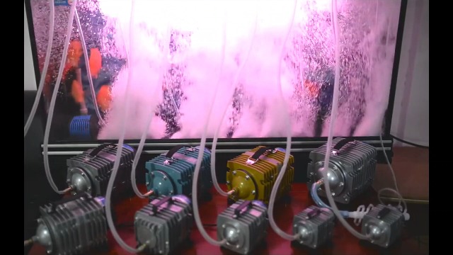 Amazon.co.jp: 電磁エアーポンプ 水槽酸素ポンプ エアポンプキット