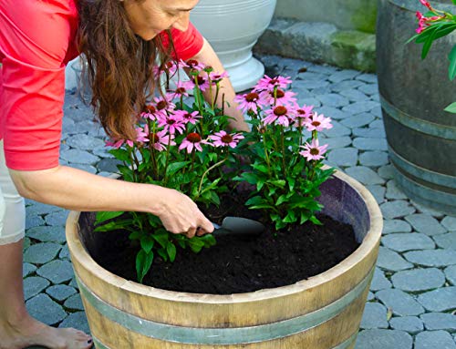 Temesso Holzfass, gebrauchtes Weinfass halbiert aus Eichen-Holz Fass als Pflanzkübel oder Miniteich (D70 H40 cm 100 Liter)