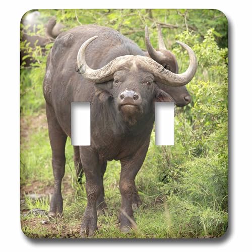 Interrupteur double haut de gamme 3dRose lsp_70869_2 buffle Maresa Pryor