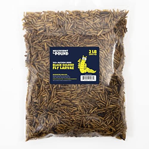 Dried Black Soldier Fly Larvae (2 lbs) - More Calcium Than Mealworms - Treats for Chickens, Wild Birds, & Reptiles