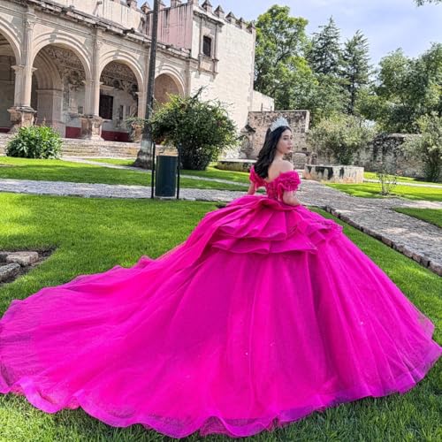 Glitter Long Sleeve Quinceanera Dresses with Bow Pleated Tassel Sweet 16 Dresses Beaded Tulle Vestido de 15 años4