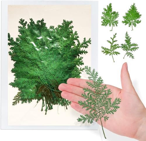 Hojas secas verdes para manualidades, 42 piezas miniatura 1