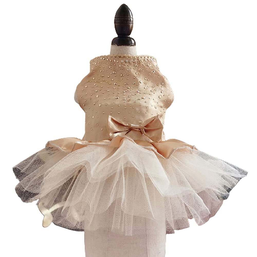 1Pc Champagne Summer Pet Clothes Dot Dog Dress for Dogs Skirt Summer Princess Dog Wedding Dresses York Clothes for Dogs Skirts Pet Cat Dress Nice Design