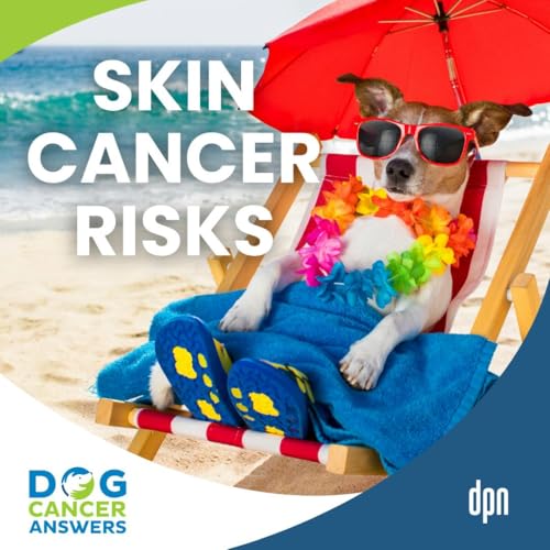 Skin Cancer in Dogs: Cutaneous Hemangiosarcoma Recurrence, Risks, and Treatments | Dr. Brooke Britton #291 Podcast Por arte de portada