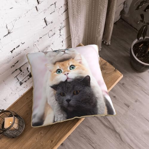 Housse de coussin en velours durable et confortable trois chats - 8